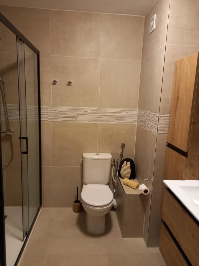 Appartement Cosy Proche Du Lac Άννεσι Εξωτερικό φωτογραφία